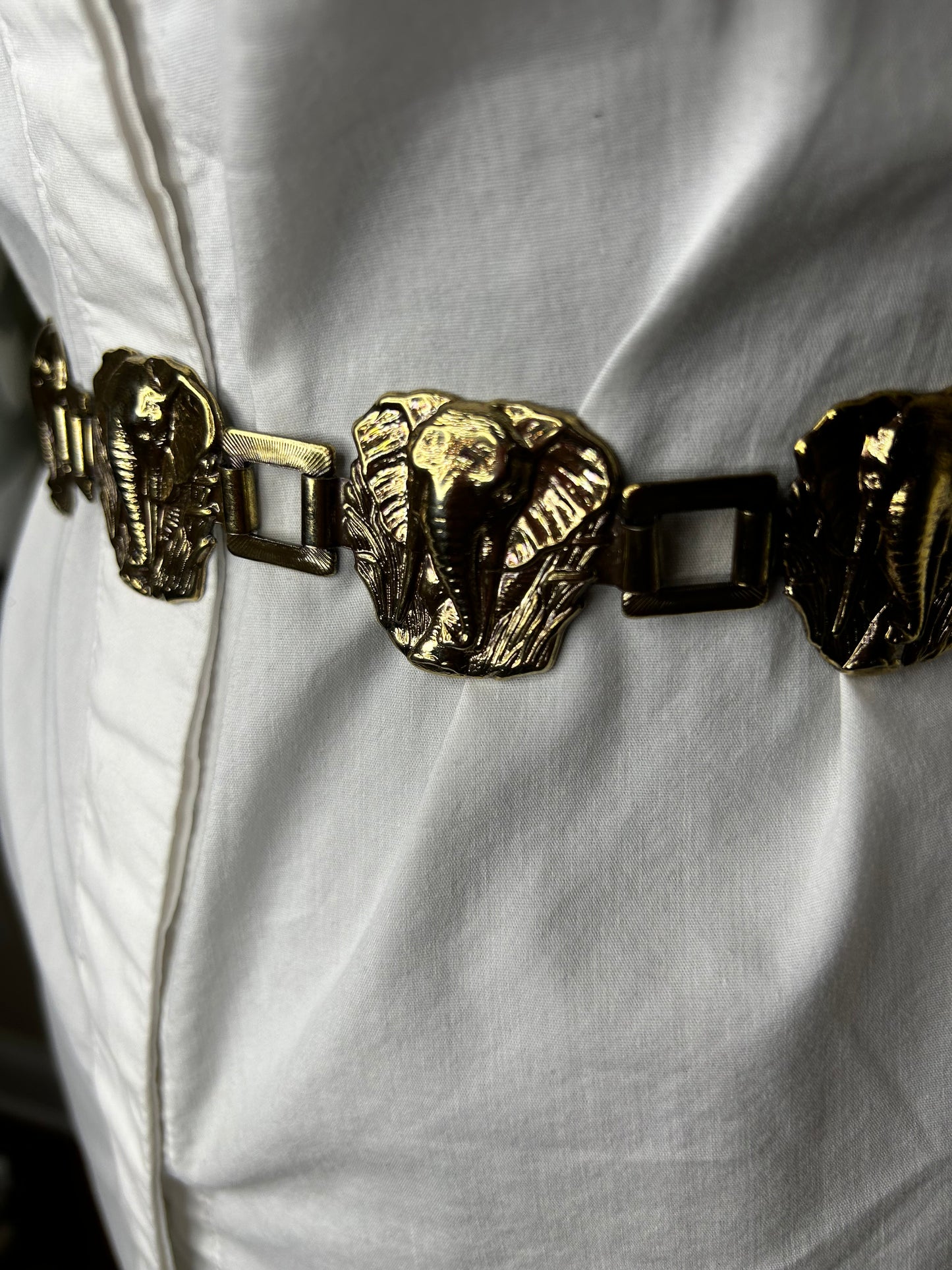 Elephant Belt