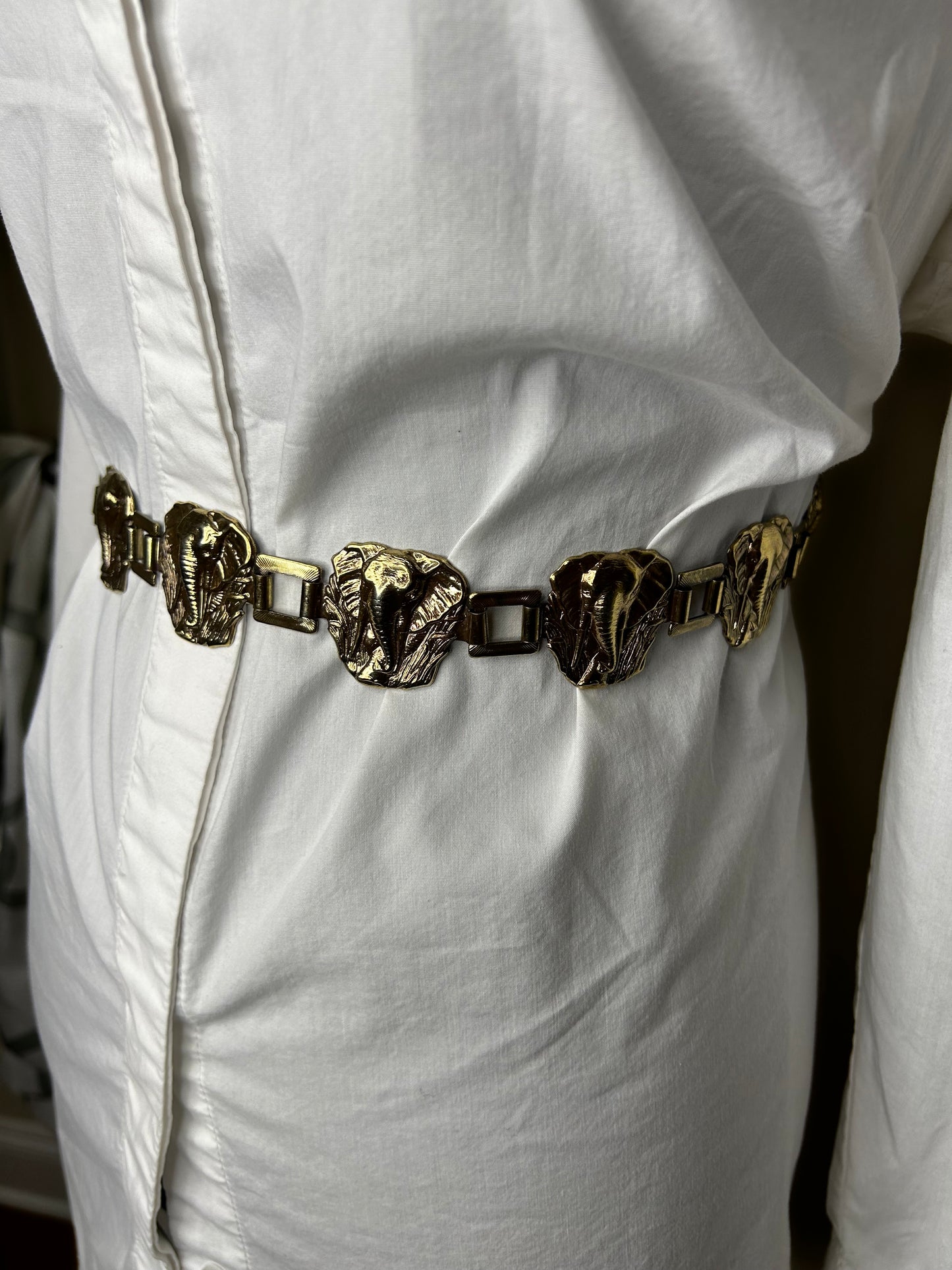 Elephant Belt