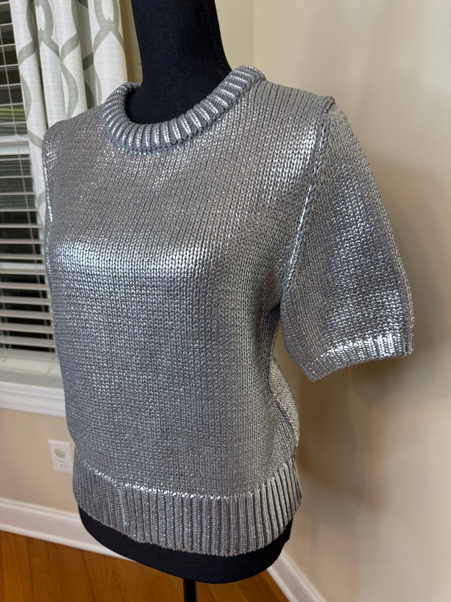Future Collective Metallic Silver Crewneck Sweater