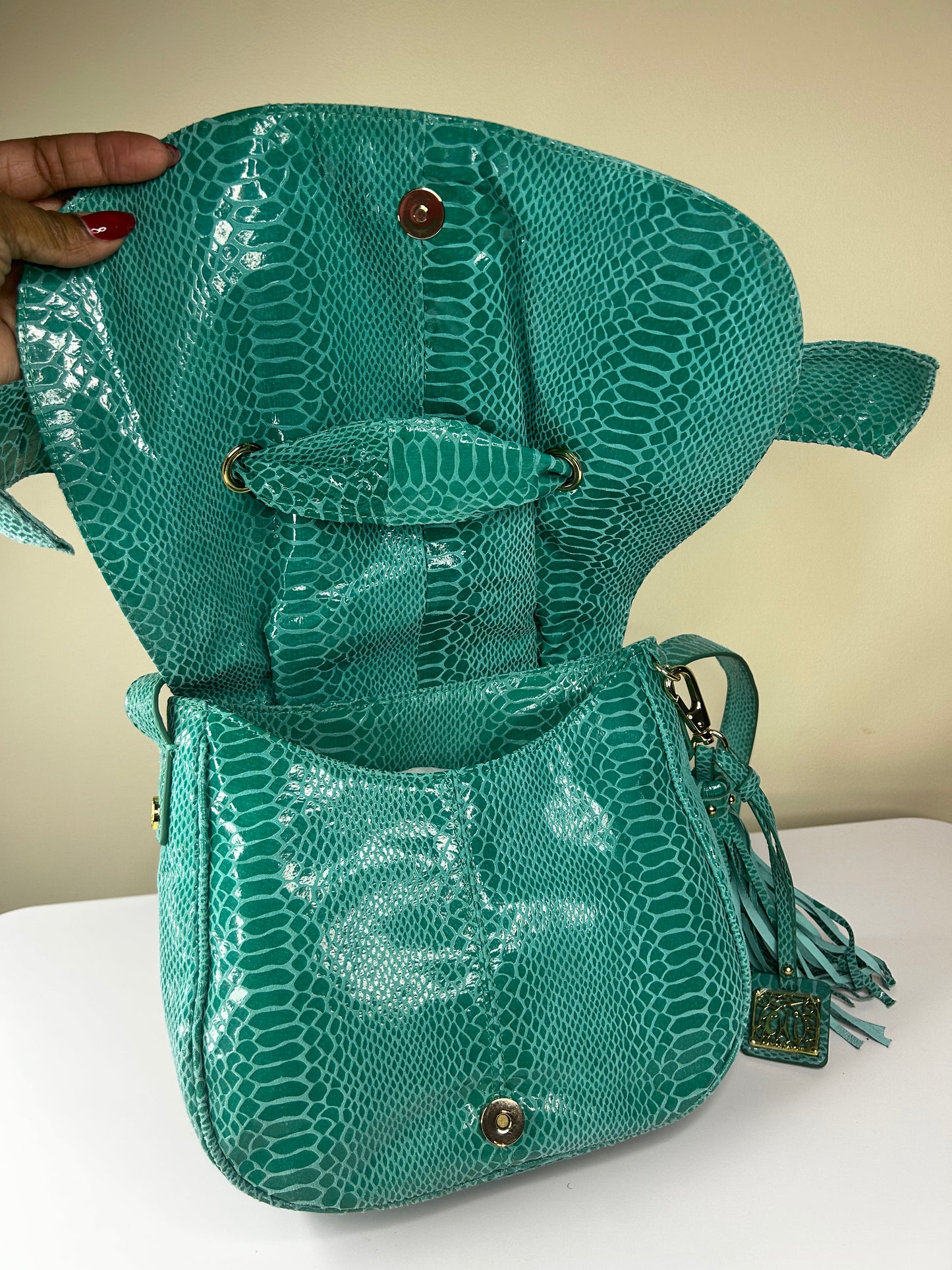 Chi by Carlos Falchi Green Purse