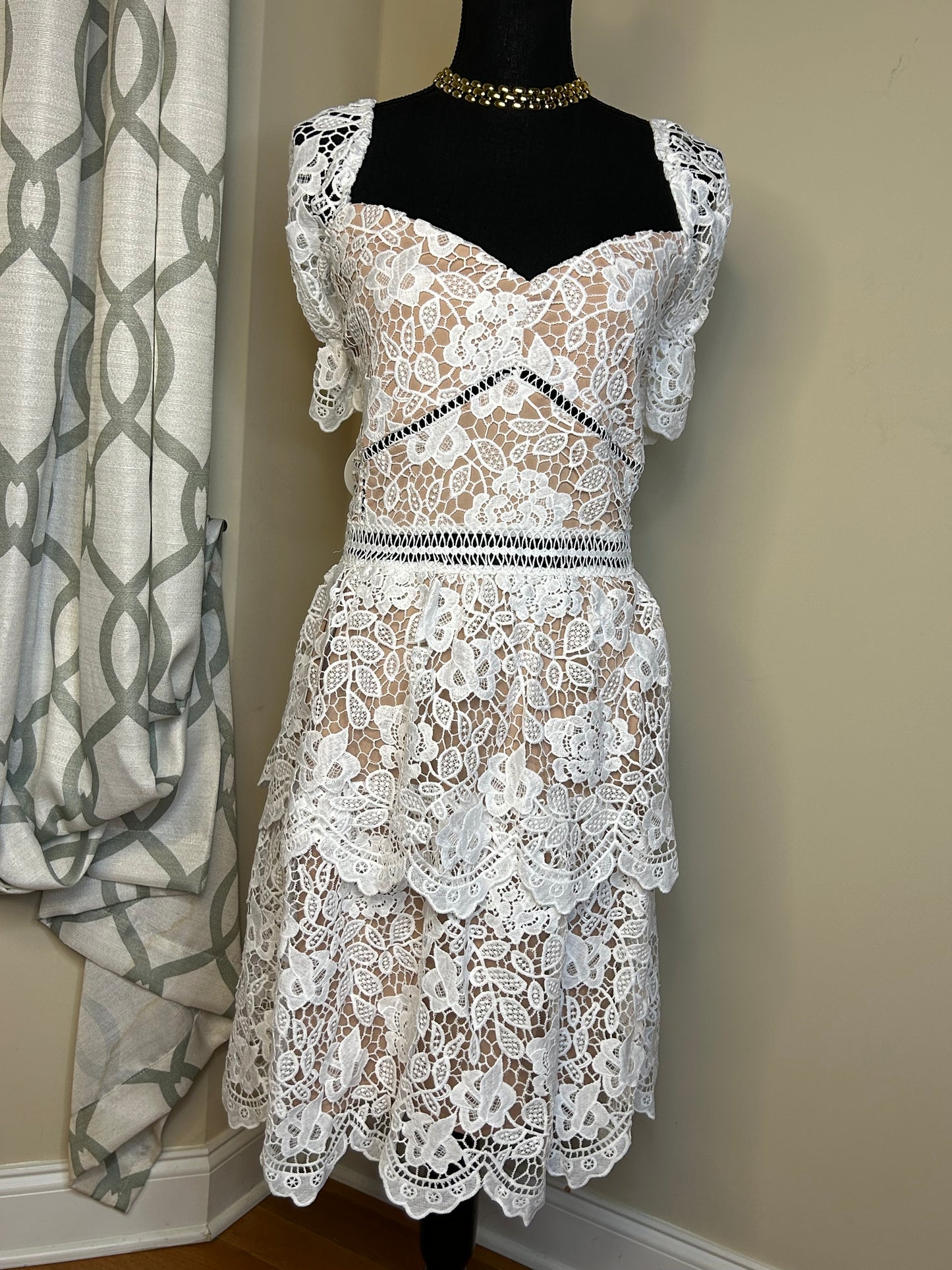 BooHoo Plus Premium Lace Skater Dress (NWT)