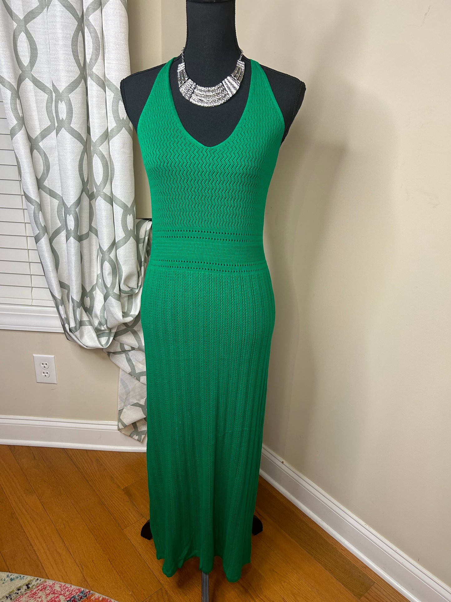 Zara Maxi Dress (NWOT)