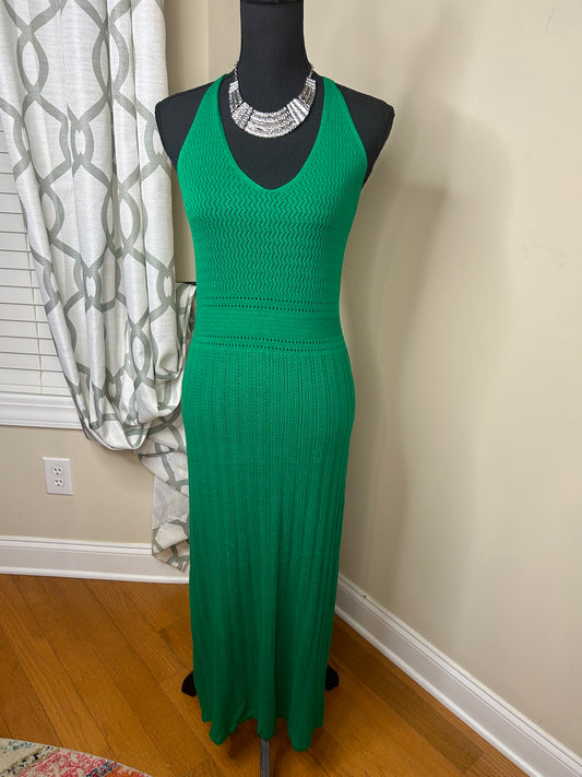 Zara Maxi Dress (NWOT)