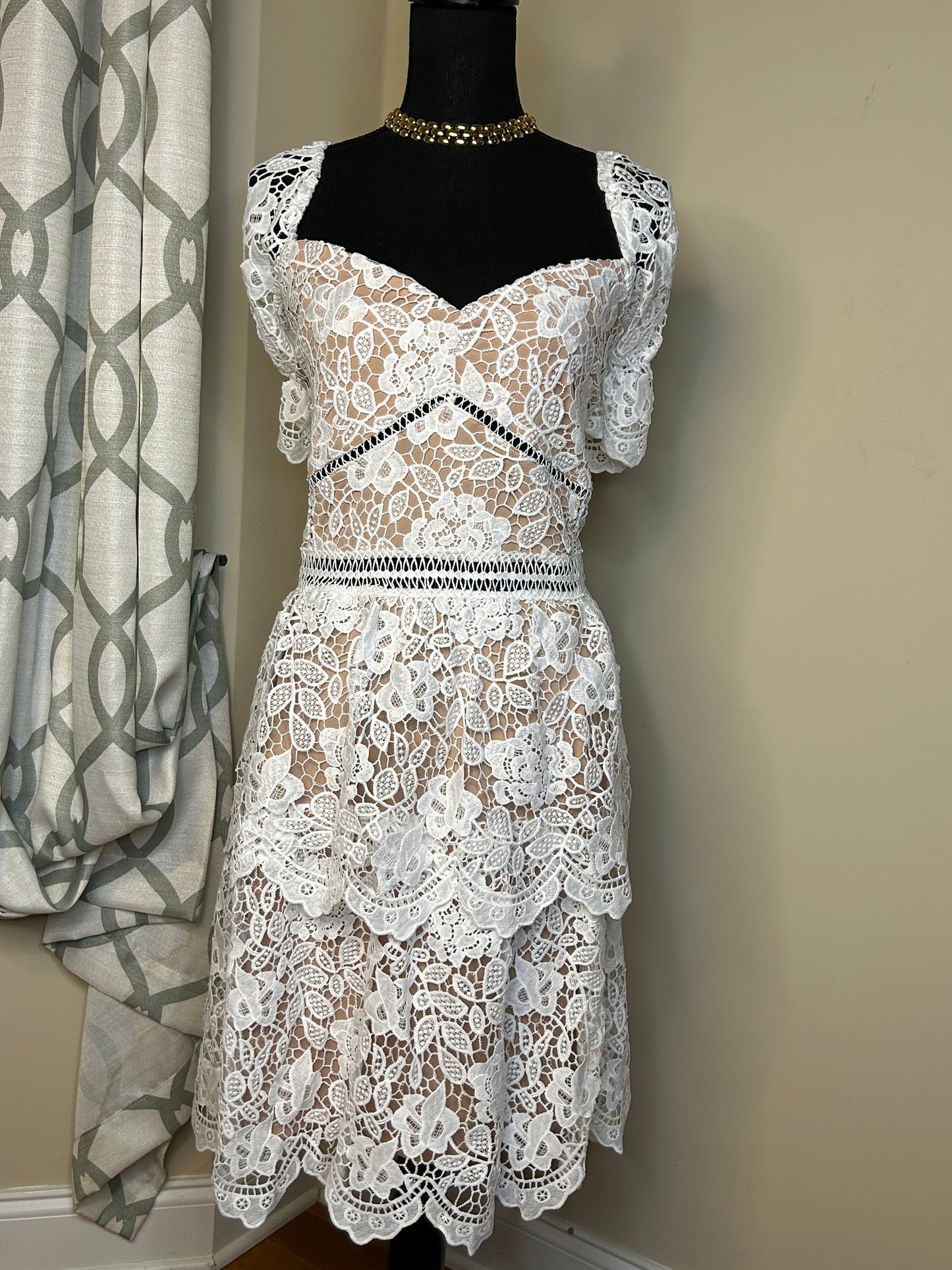 BooHoo Plus Premium Lace Skater Dress (NWT)
