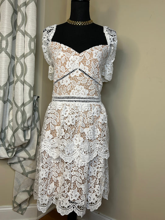 BooHoo Plus Premium Lace Skater Dress (NWT)