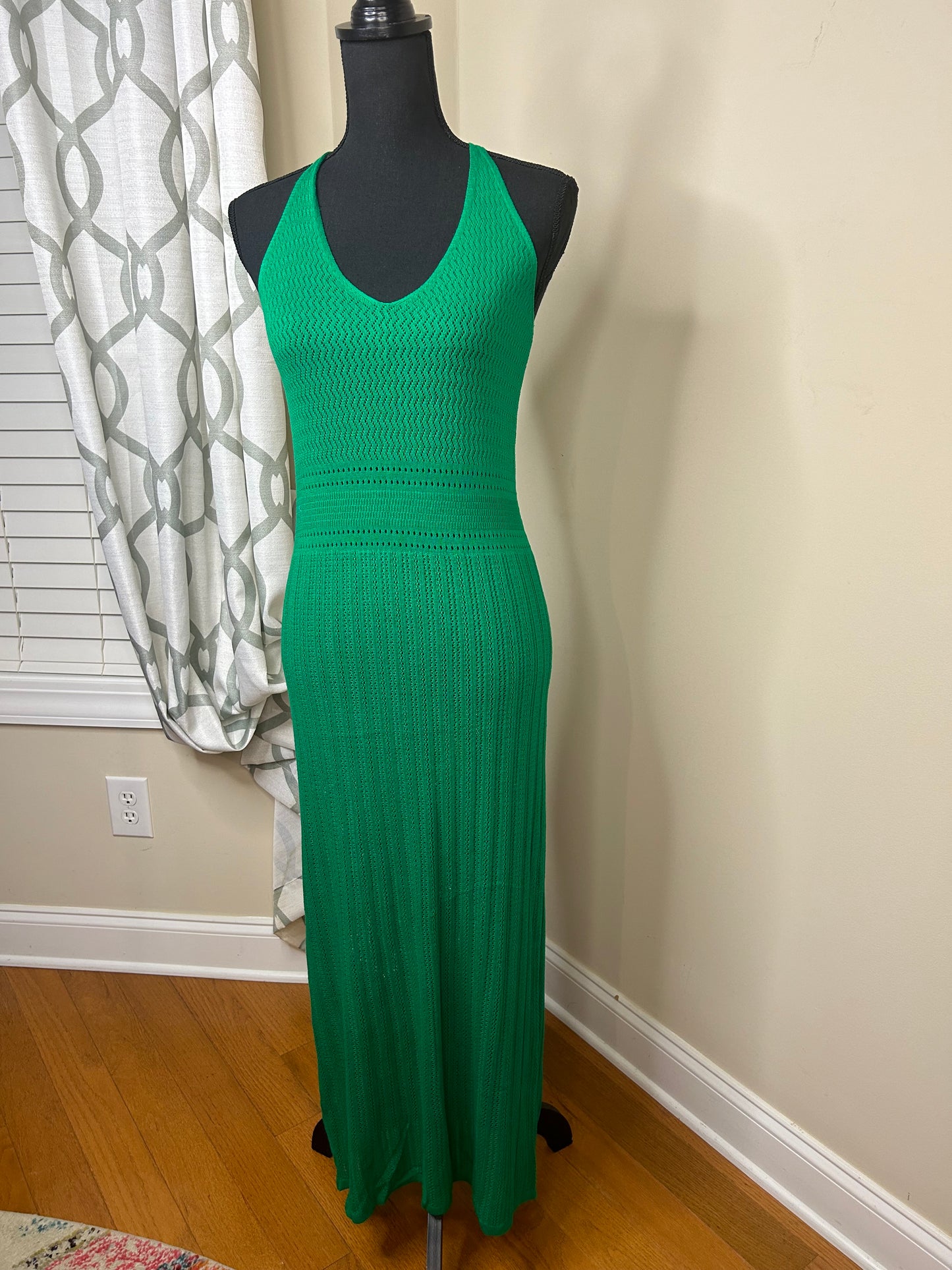 Zara Maxi Dress (NWOT)