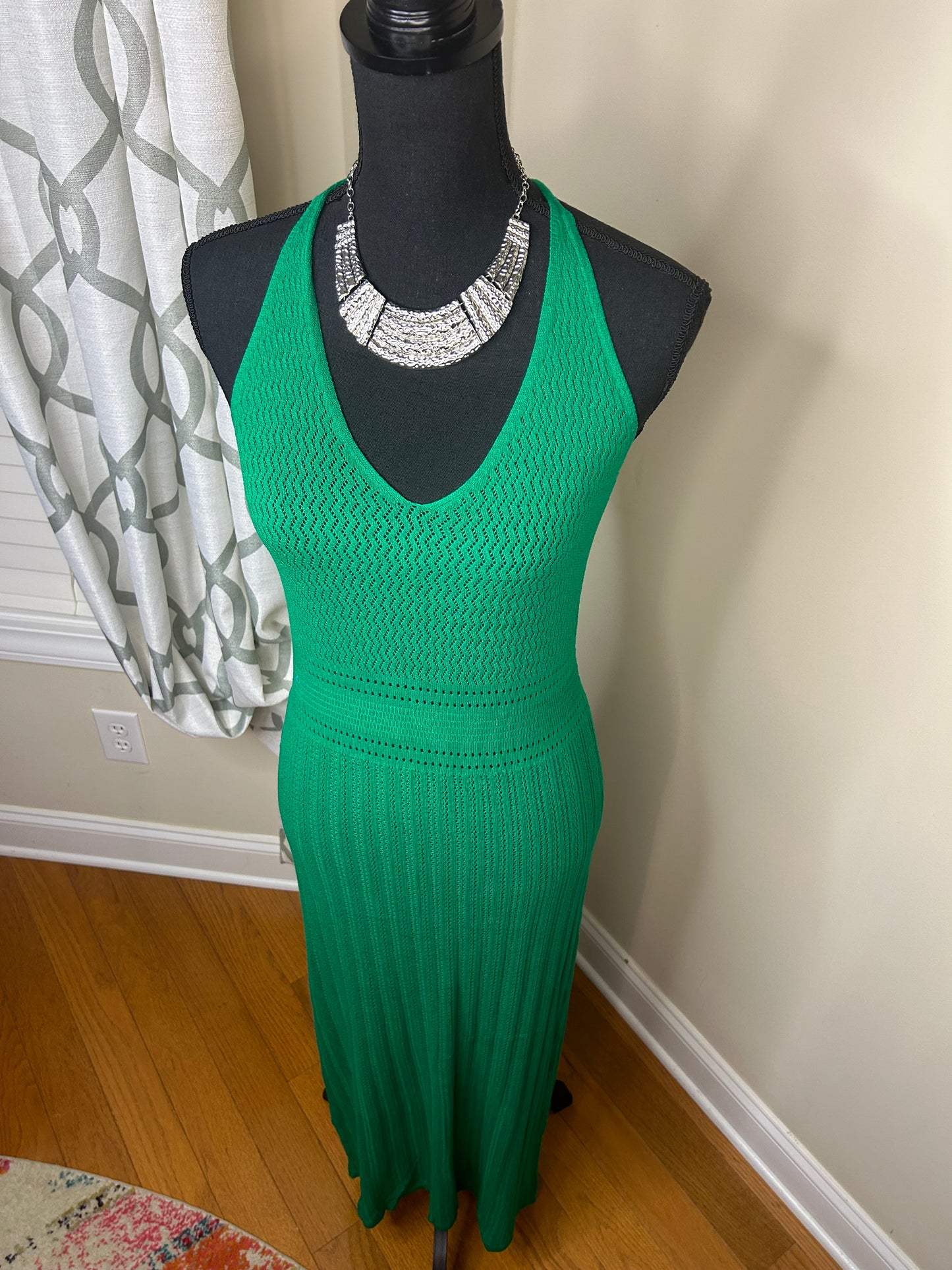 Zara Maxi Dress (NWOT)
