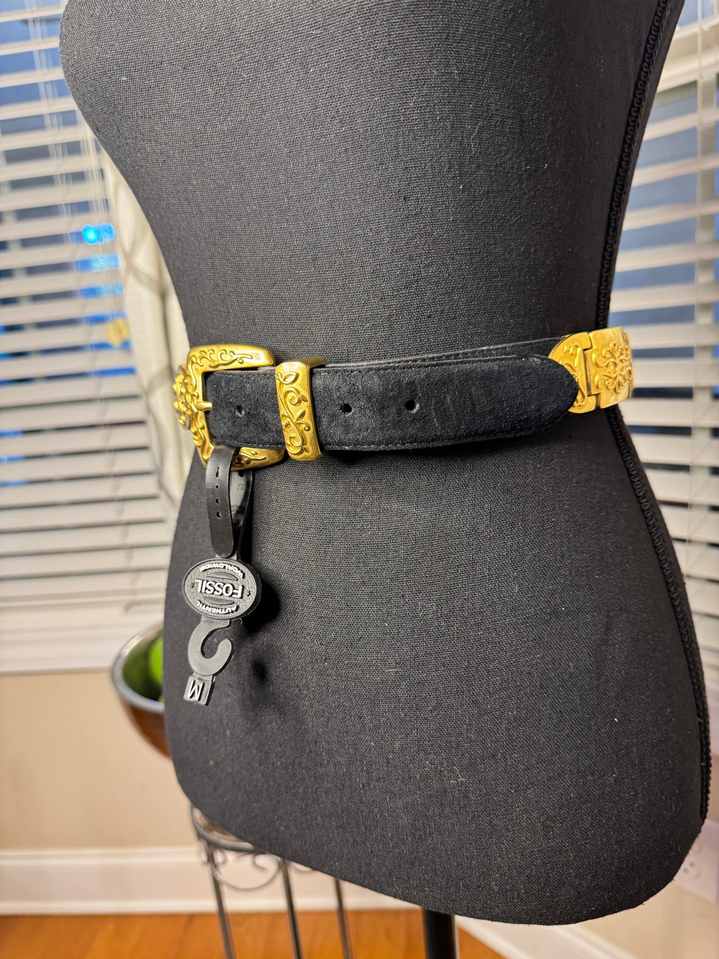 Fossil Belt NWT