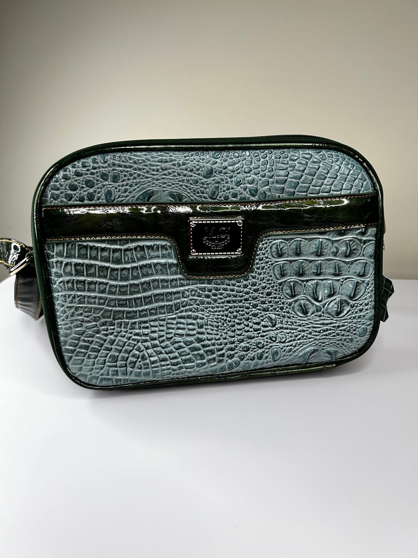 “Free” Madi Claire (MC) NWOT Teal and Green Purse **Must Pay Shipping **